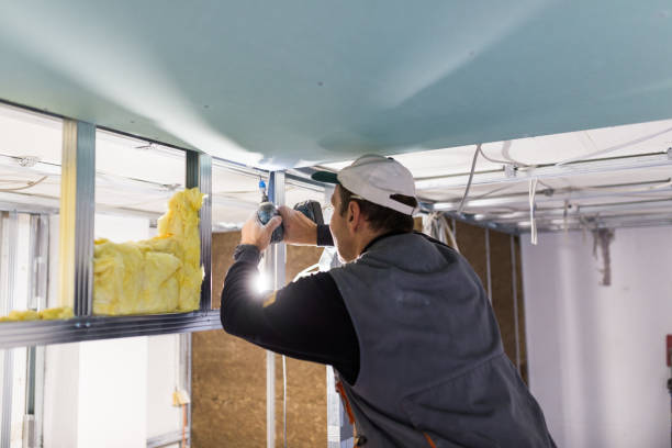 Best Wall Insulation Installation  in Sycamore, IL