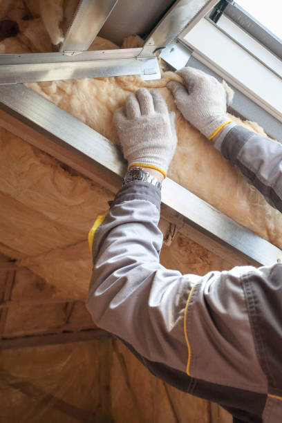 Best Insulation for New Construction  in Sycamore, IL