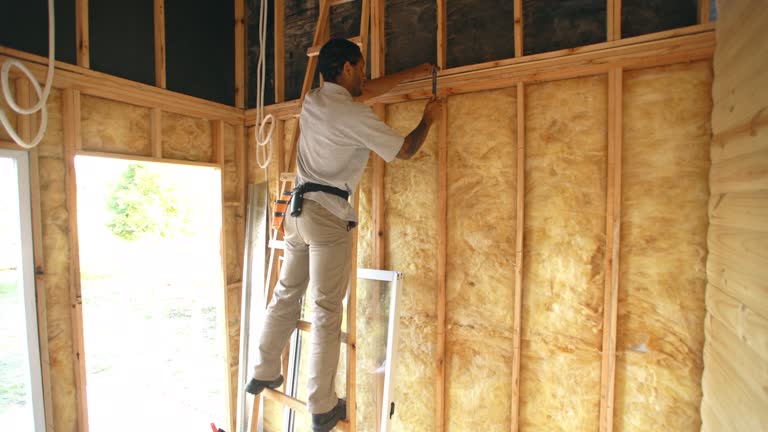 Best Commercial Insulation Services  in Sycamore, IL