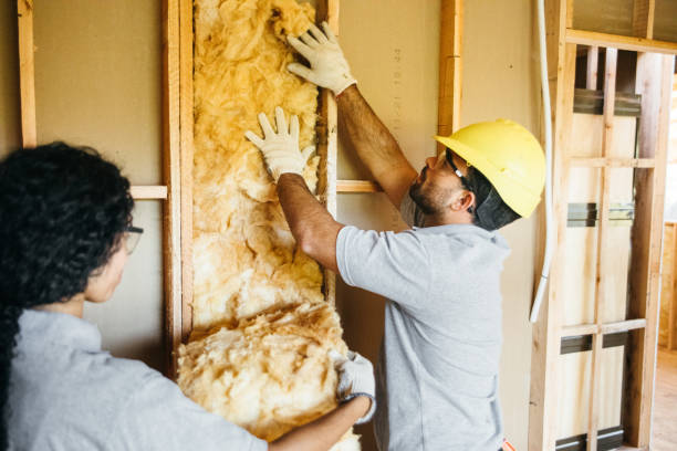 Professional Insulation in Sycamore, IL