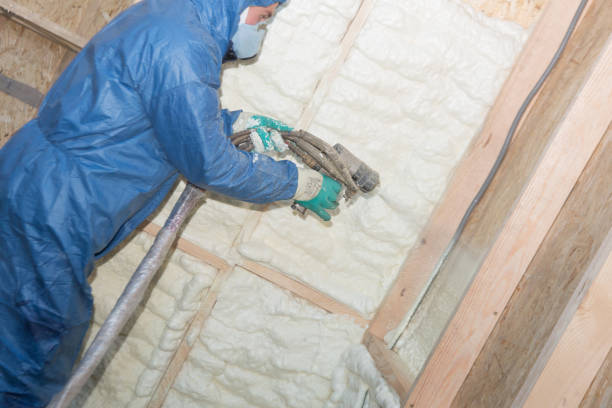 Best Crawl Space Insulation  in Sycamore, IL